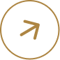Commercial financing solution icon